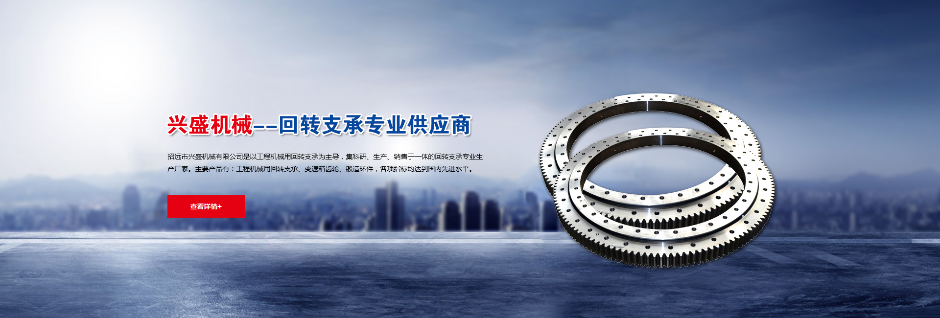 回轉支承專業供應商
